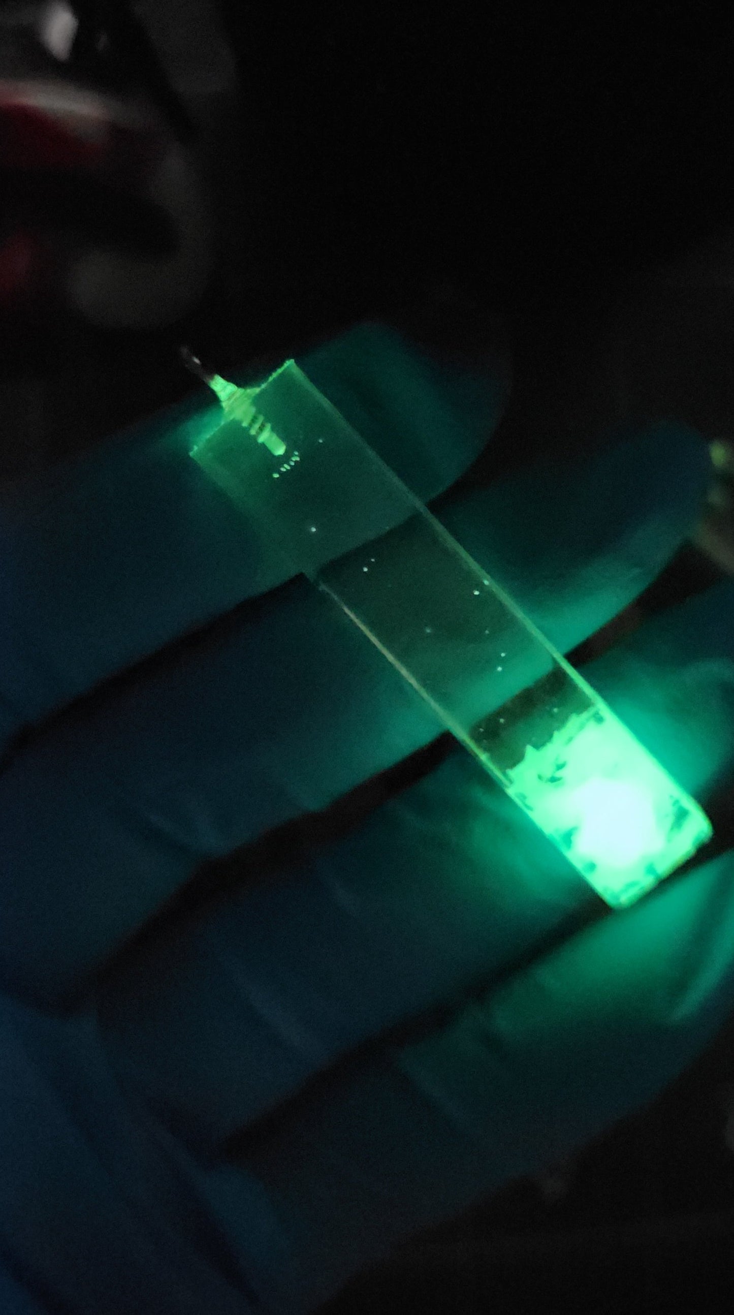 Gamme d'Articles Phosphorescent en résine