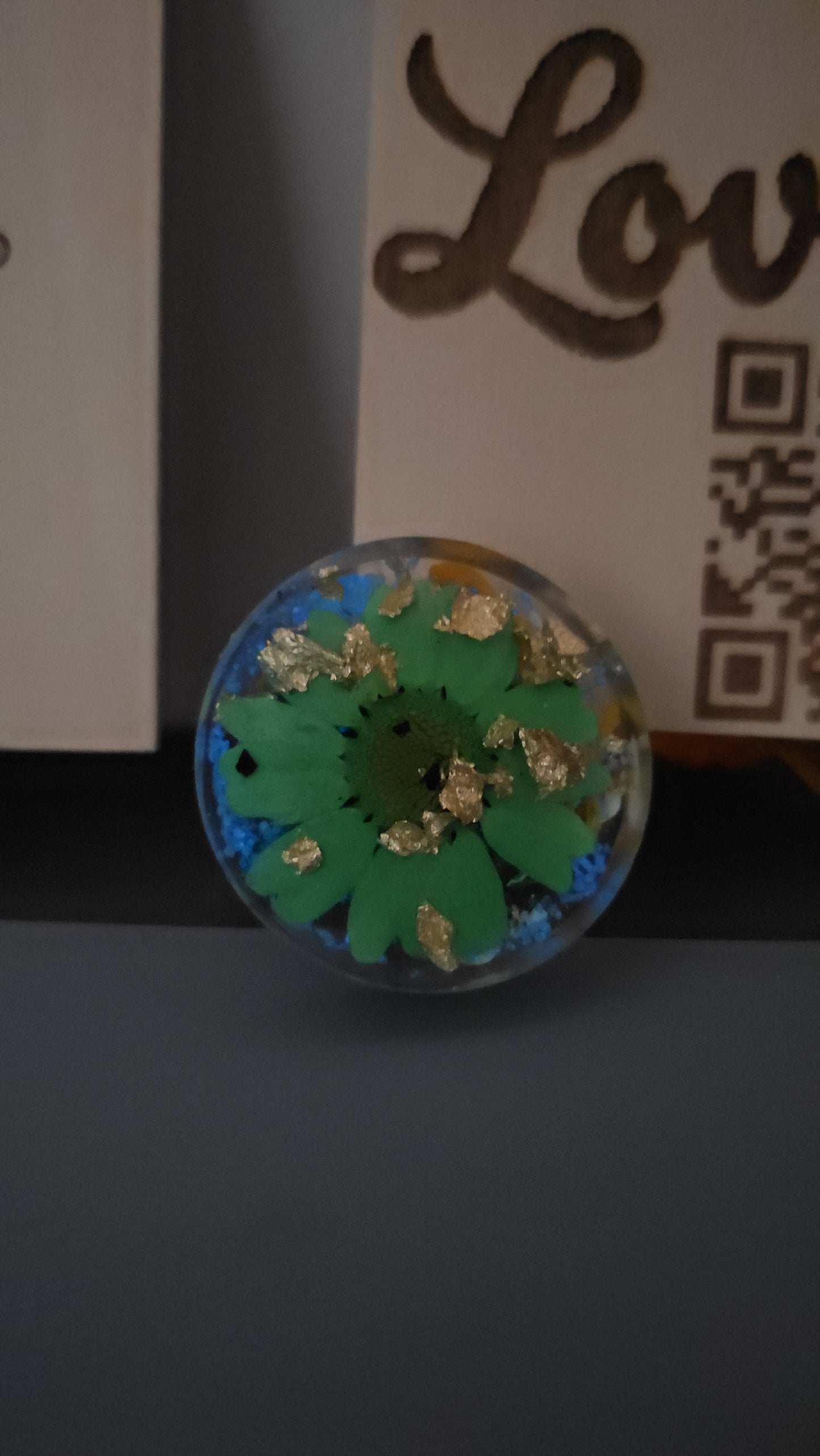 Pendentifs ou Médaillons en résine avec Collier fantaisie (1 pcs)