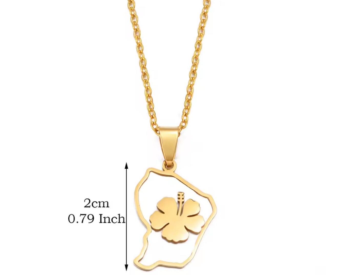 ✨ Collier + Pendentif des outres-mers 🇲🇶🇬🇫🇷🇪 hibiscus en Acier Inox