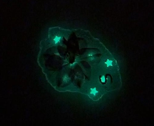 Gamme d'Articles Phosphorescent en résine