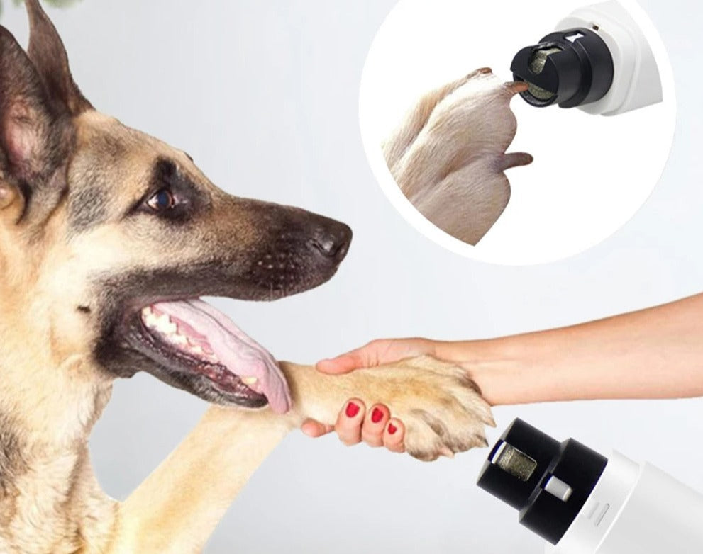Lime à ongle électrique pour animaux de compagnie "DropShib"