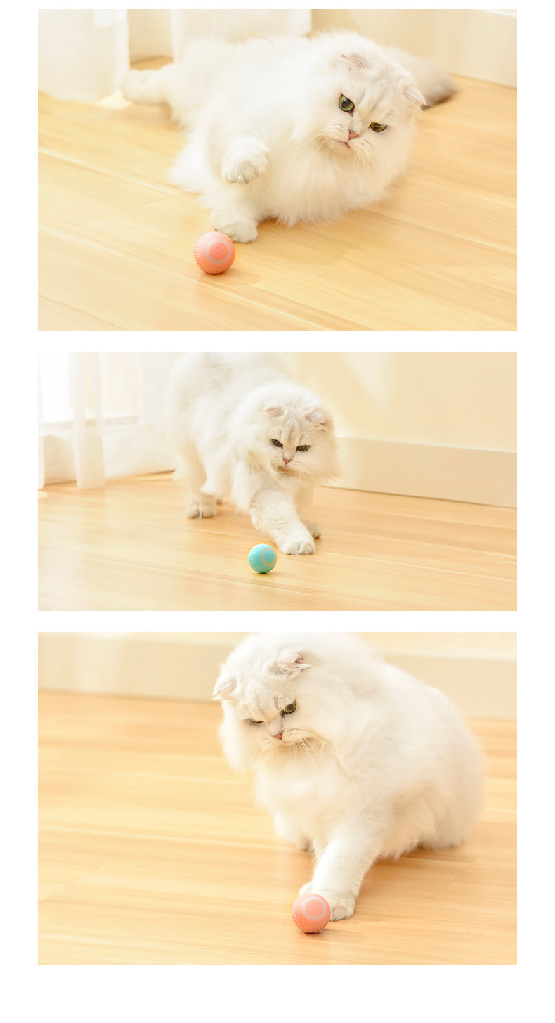 Balle interactive automatique intelligente rechargeable "DropShib"