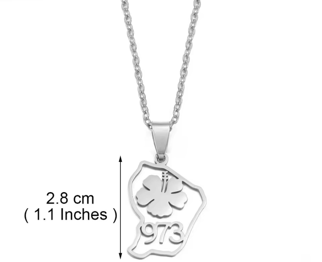 ✨ Collier + Pendentif des outres-mers 🇲🇶🇬🇫🇷🇪 hibiscus en Acier Inox