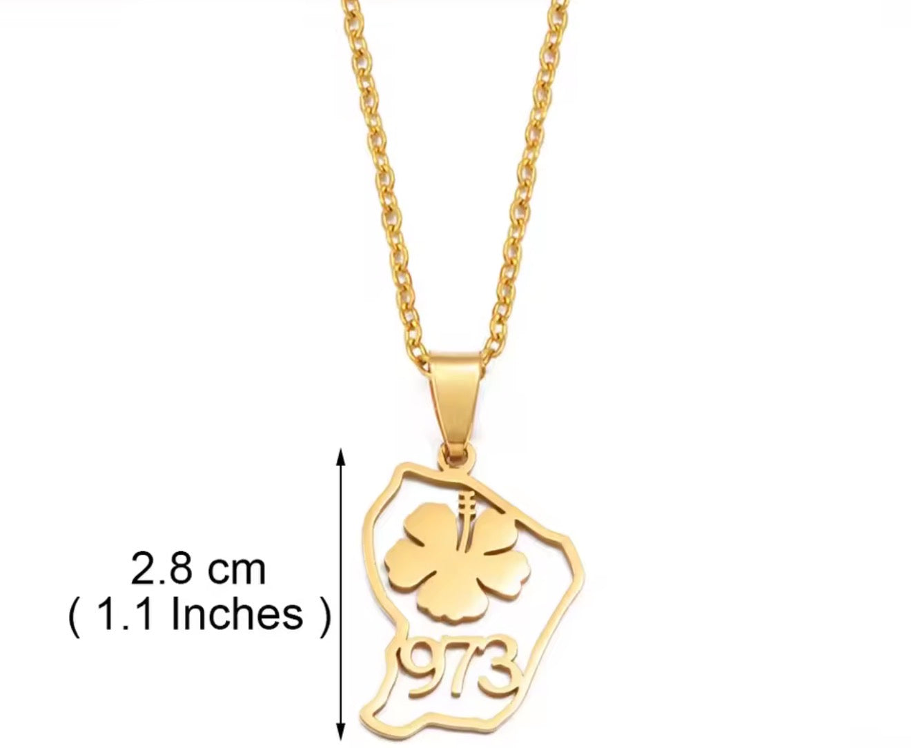 ✨ Collier + Pendentif des outres-mers 🇲🇶🇬🇫🇷🇪 hibiscus en Acier Inox