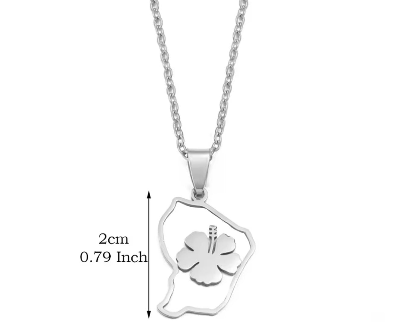 ✨ Collier + Pendentif des outres-mers 🇲🇶🇬🇫🇷🇪 hibiscus en Acier Inox