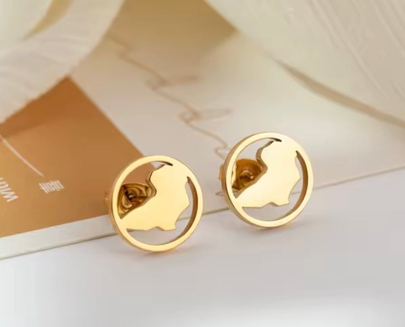 ✨ Boucles d’Oreilles en Acier Inoxydable – Carte de la Guadeloupe, Martinique 🇲🇶, Guyane 🇬🇫 & Réunion 🇷🇪