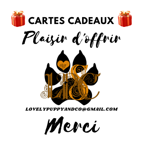 Carte Cadeau LovShib™️ Création