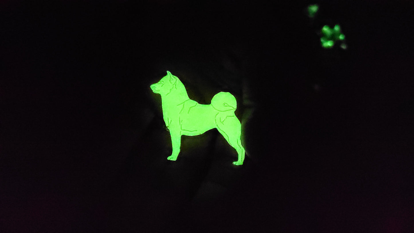 Gamme d'Articles Phosphorescent en résine